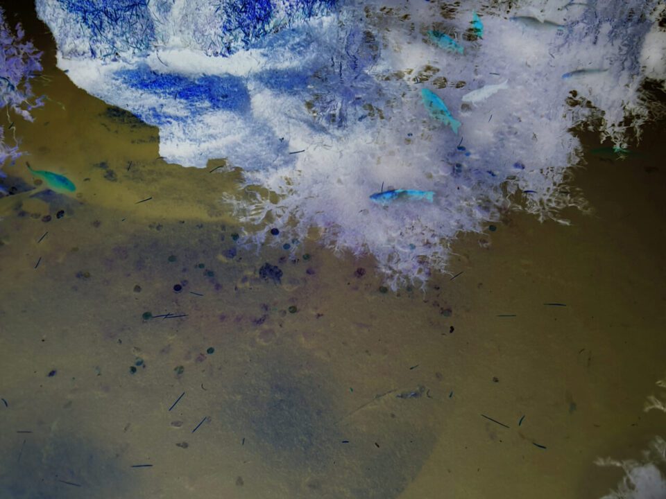 Abracadabra utopia, 2018, stampa gicleé su carta Hahnemuhle 3/3, misure variabili